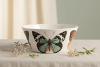 Metamorphosis Small Bowl S/4 - Qu!rk Boutique